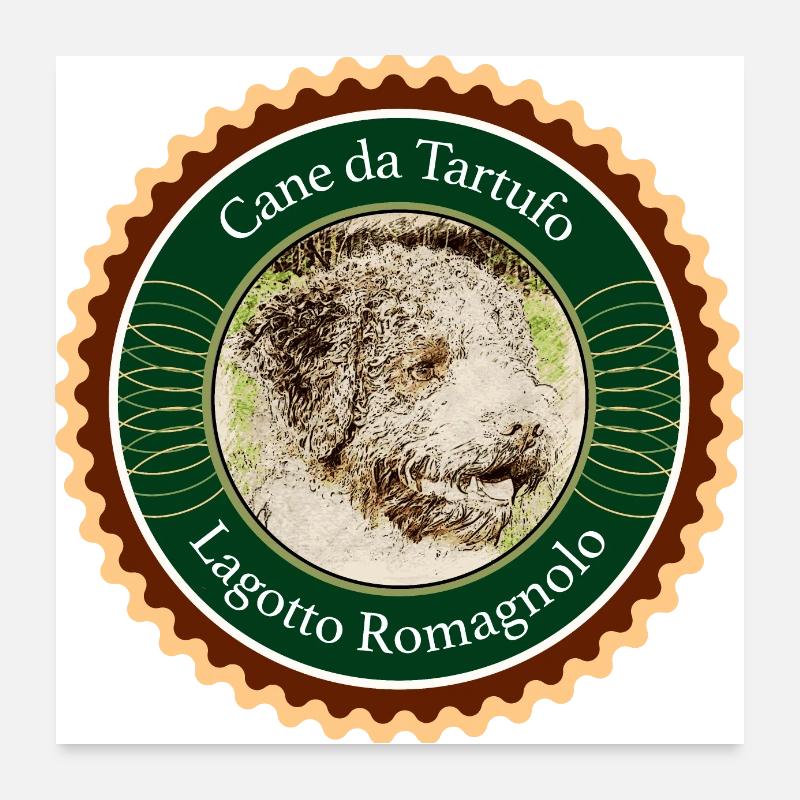 Lagotto Romagnolo Poster 60 x 60 cm