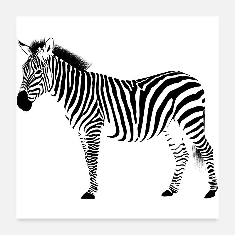 Zebra crossing - animal - vacances - Afrique Poster 60 x 60 cm