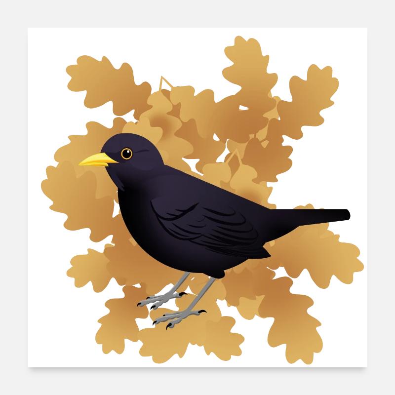 Amsel auf Herbstlaub Poster 60x60 cm