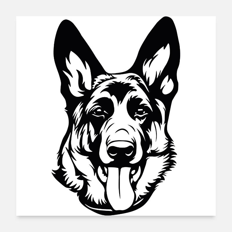 Chien de berger Poster 60 x 60 cm
