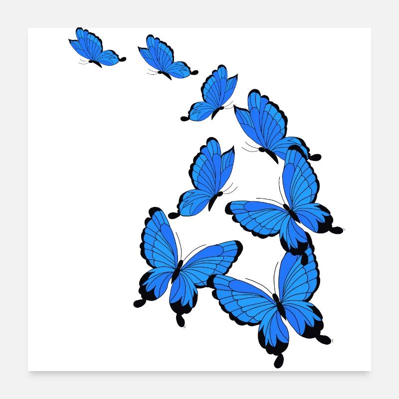 Butterflies Poster 24" x 24" (60x60 cm)