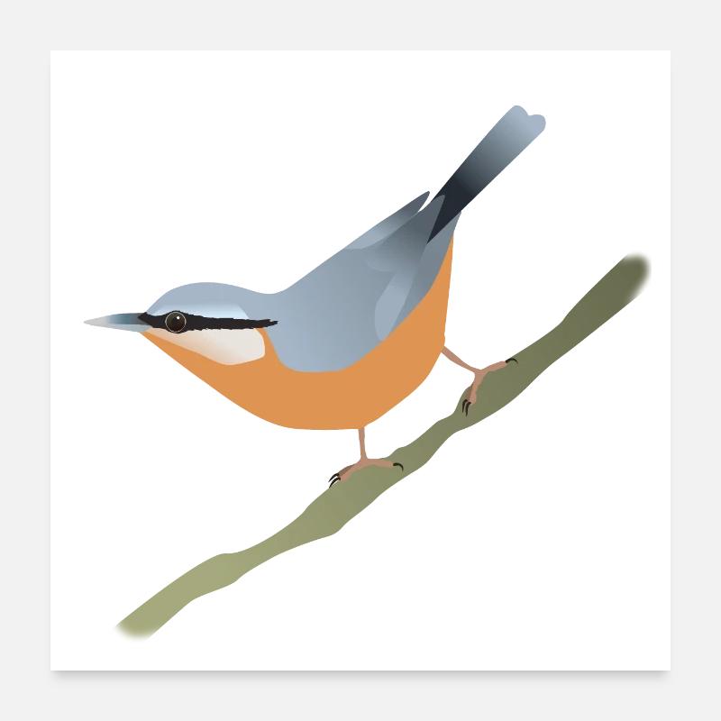 Nuthatch Poster 24" x 24" (60x60 cm)