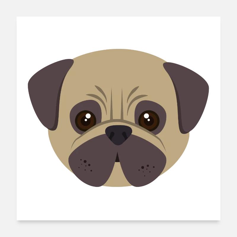 Mops - Poster 60x60 cm - Weiß