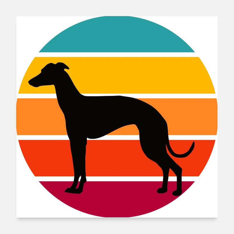 Greyhound rétro de coucher du soleil Poster 60 x 60 cm
