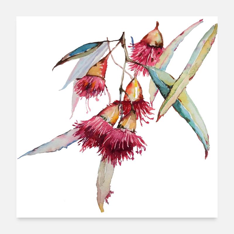 Eukalyptus - handgezeichnetes Aquarell - Poster 60x60 cm - Weiß