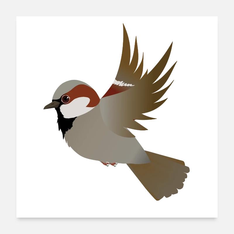 Moineau de maison de vol Poster 60 x 60 cm