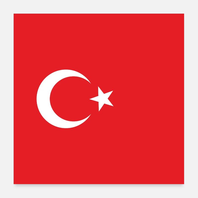 Turkish Flag Turkey Flag Poster 24" x 24" (60x60 cm)