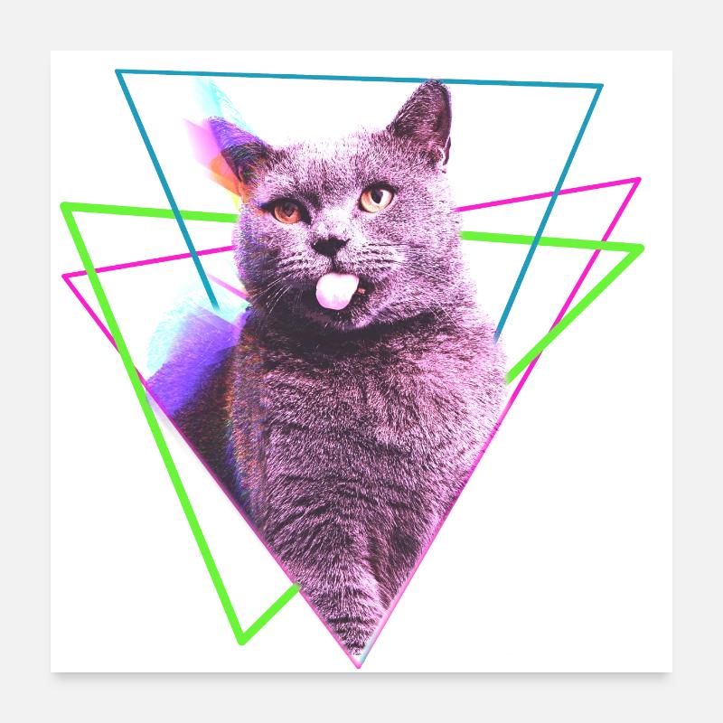 cooles Katzen Design mit geometrischen Formen Poster 60x60 cm