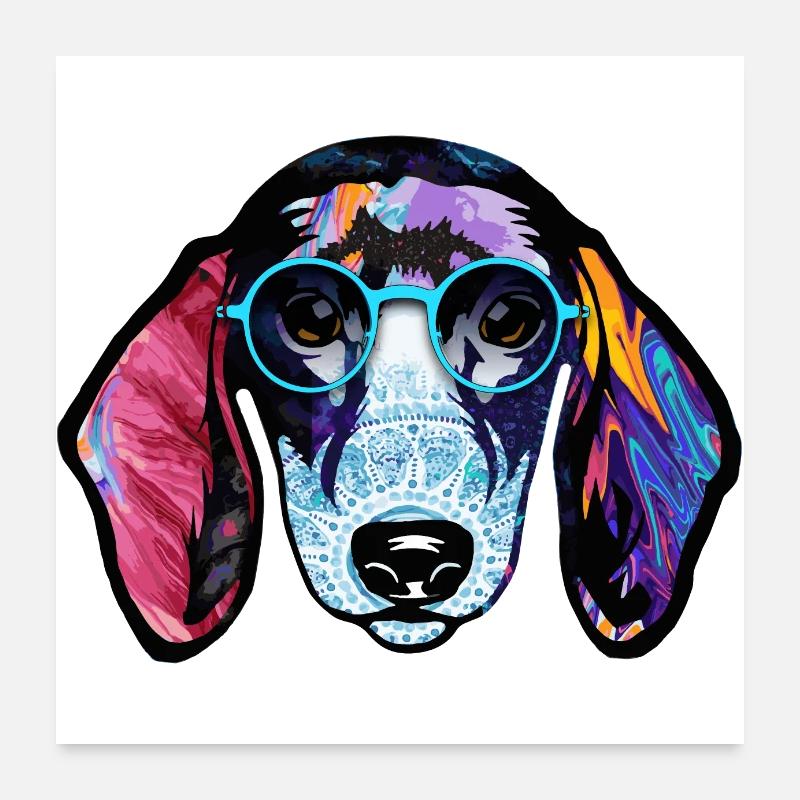 Blaireau Teckel Teckel Lunettes couleurs vives Poster 60 x 60 cm
