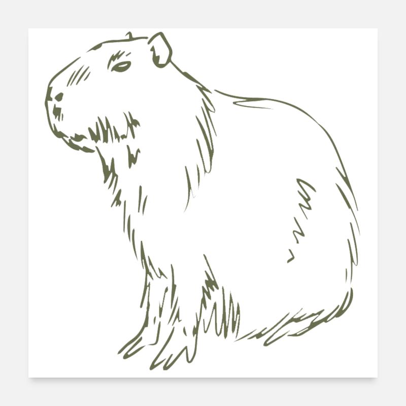 Capybara - Poster 60x60 cm - Weiß