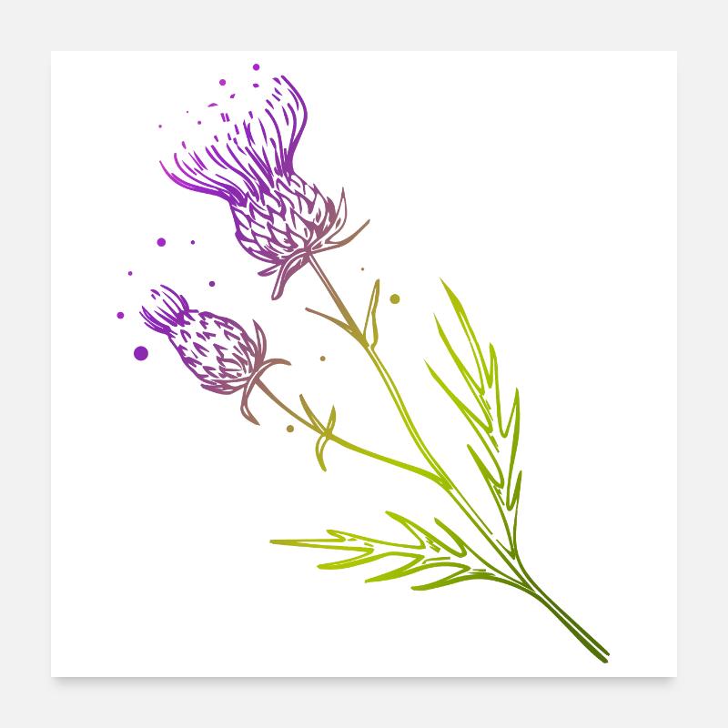 Scotland Thistle Flower Tattoo Design Gift Idea - Poster 24" x 24" (60x60 cm) - white