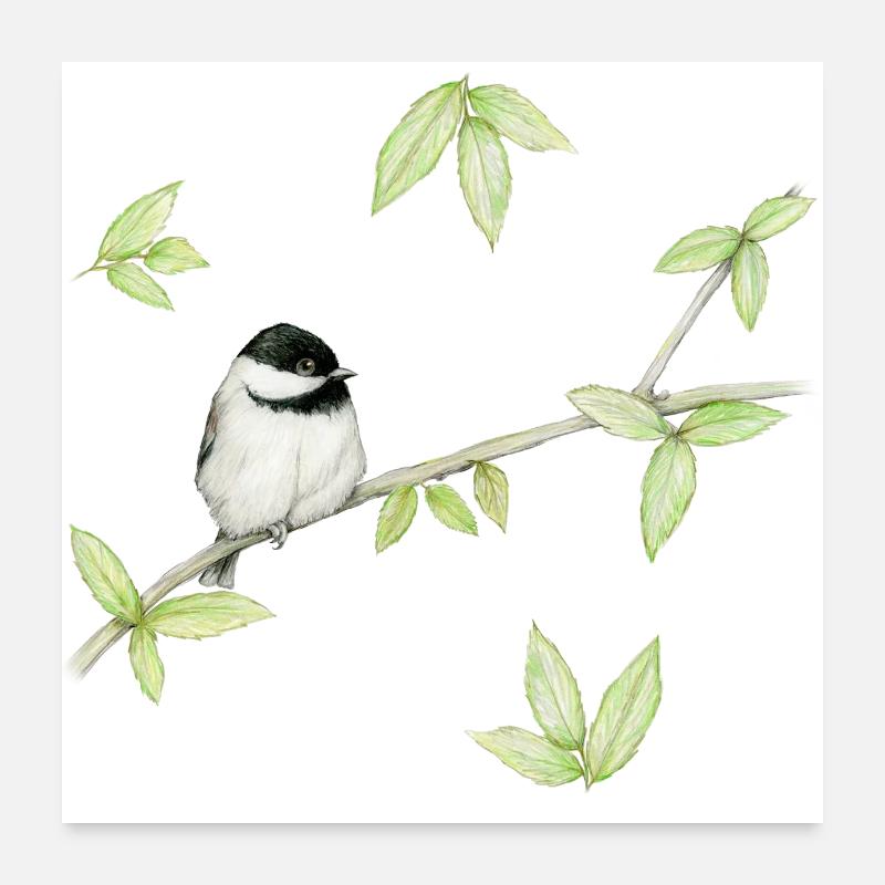 Eine Bleistiftzeichnung eines Mattenkopfes oder Glosskopfes Poster 60x60 cm