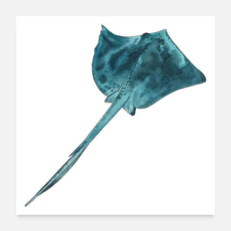 Rochen Mantarochen Stachelrochen Riff Tauchen Poster 60x60 cm