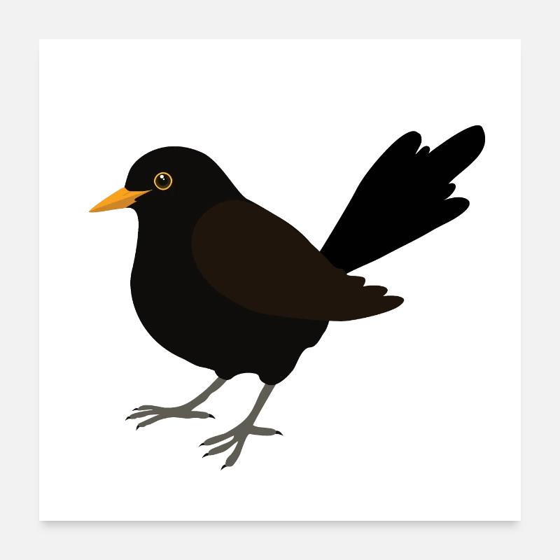 Dessin numérique Blackbird Poster 60 x 60 cm