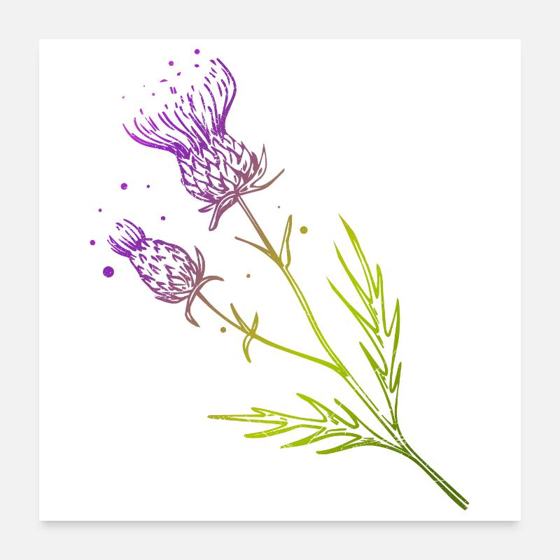 Ecosse Fleur de Chardon Tatouage Design Idée Cadeau Poster 60 x 60 cm