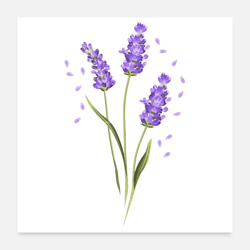 Fleur Pourpre Lavande Été Fleur Idée Cadeau Poster 60 x 60 cm