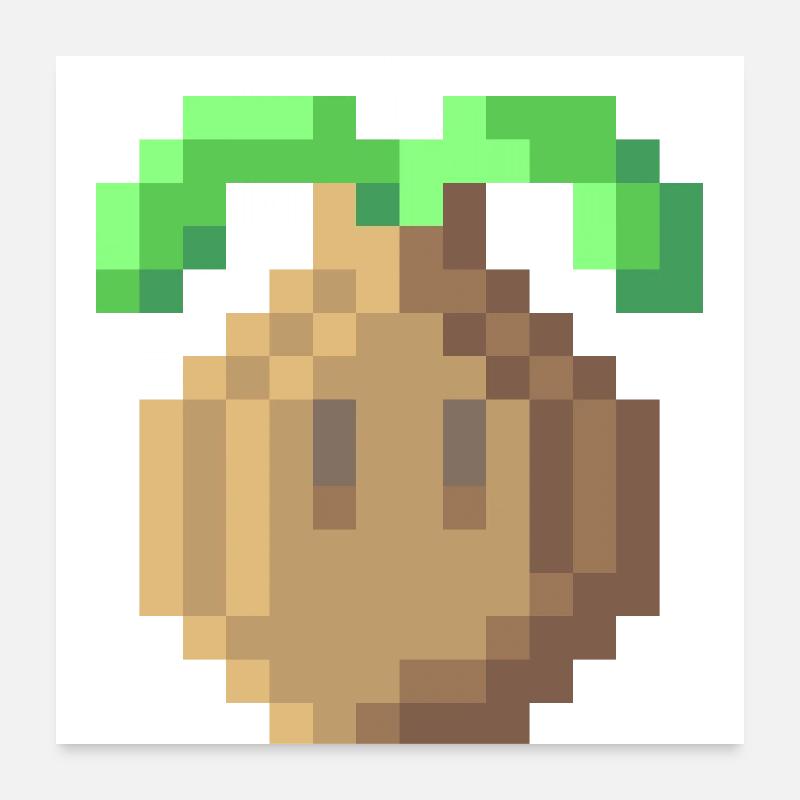 Zwiebel - Poster 60x60 cm - Weiß