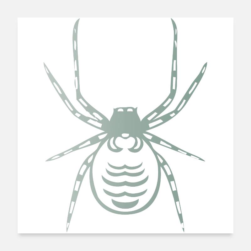 Araignée Poster 60 x 60 cm