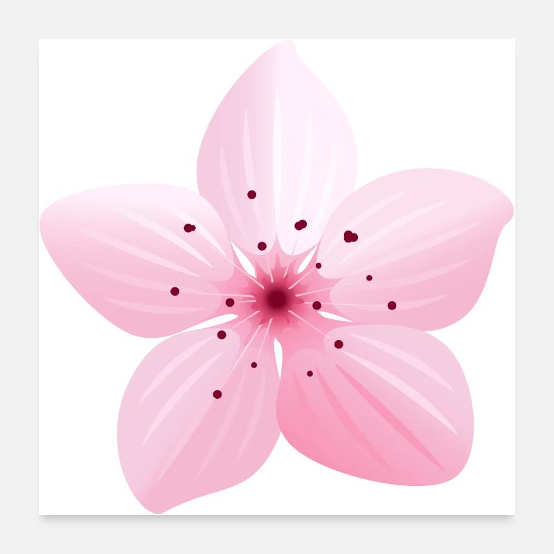 Fleur Sakura Japon printemps - Poster 60 x 60 cm - blanc