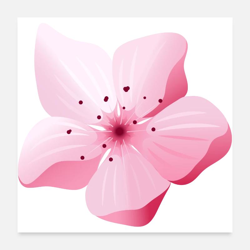 Blume Sakura Japan Frühling Poster 60x60 cm