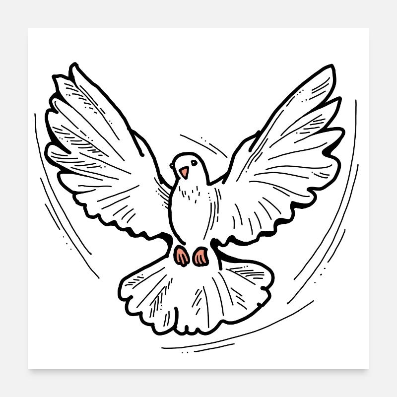 Weiße Friedenstaube. Taubenvogel. Liebe und Freiheit Poster 60x60 cm