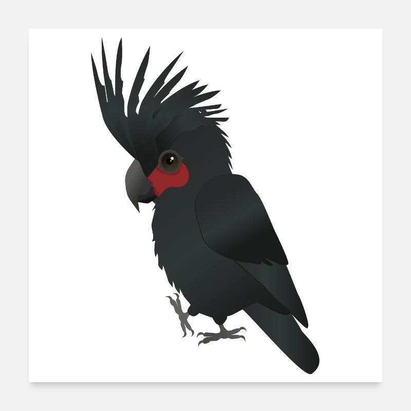 Digitale Illustration eines Palmkakawas Poster 60x60 cm