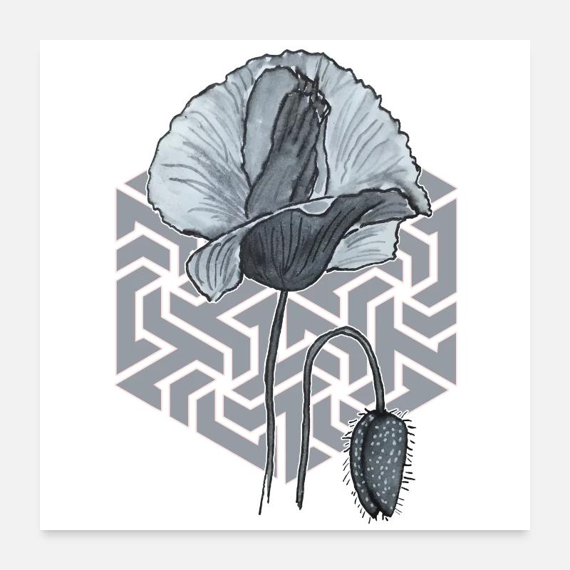 schwarzweiße Mohnblume mit Sechseck im Hintergrund Poster 60x60 cm