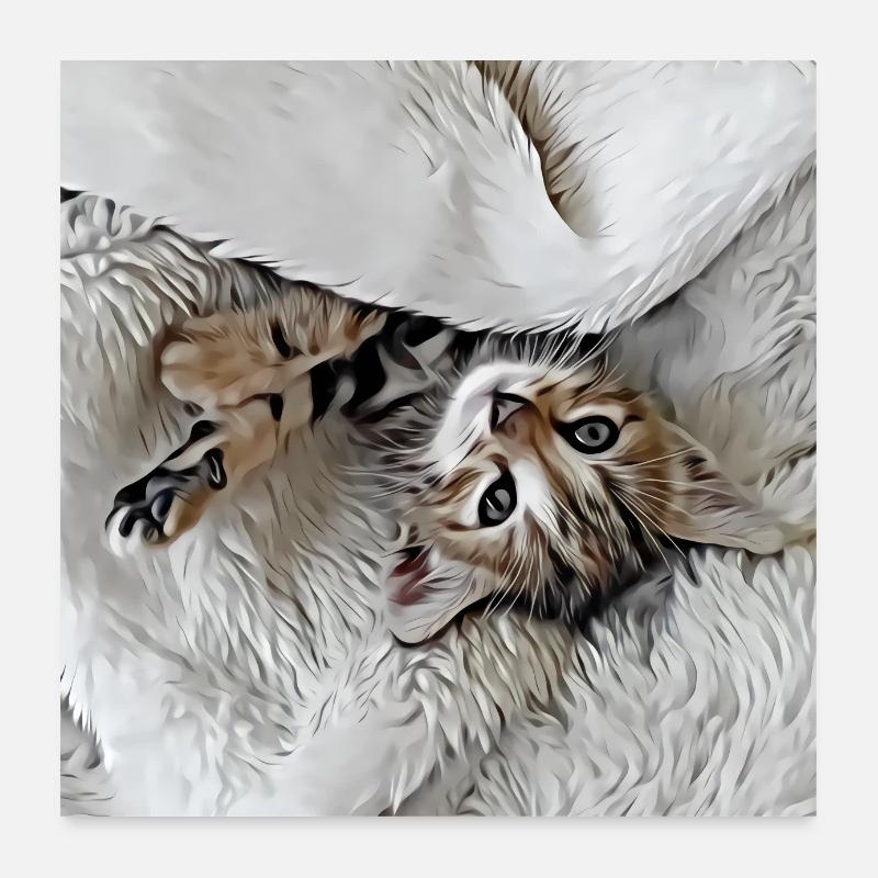 Mignon petit chaton allongé à l’envers sur le dos Poster 60 x 60 cm