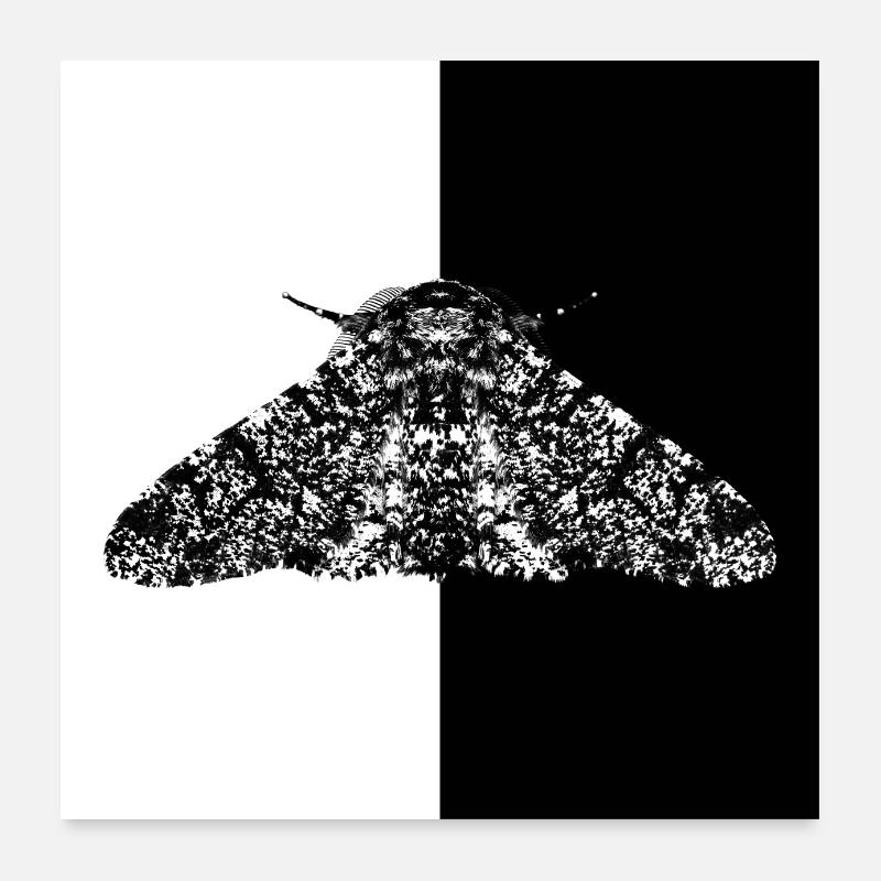 Evolution Poster 24" x 24" (60x60 cm)