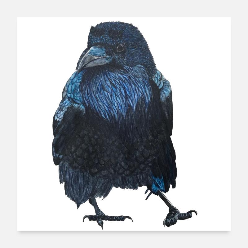 Raven Crow Marchant Poster 60 x 60 cm