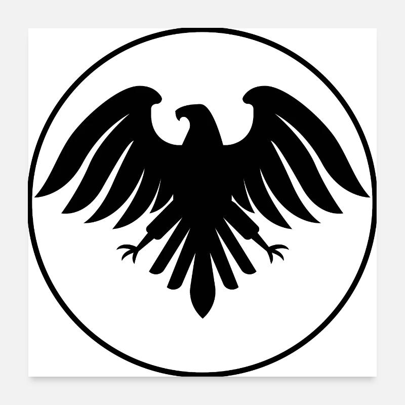Eagle in flight Poster 24" x 24" (60x60 cm)