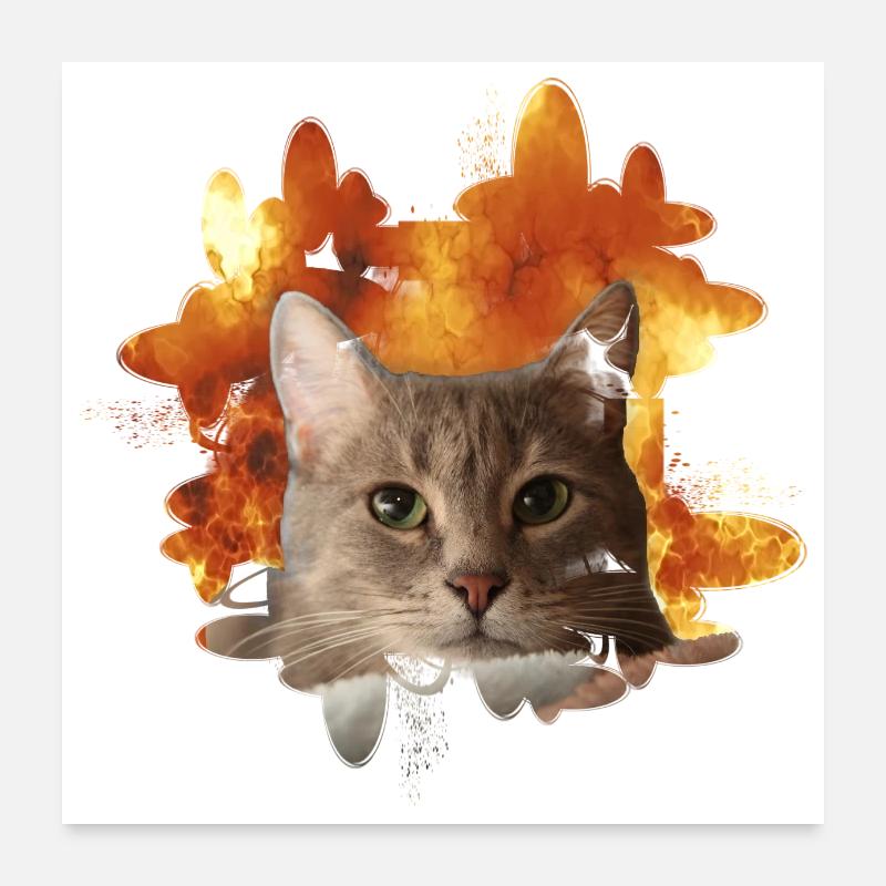 Tête de chat devant le feu - Fire Cat Cat Poster 60 x 60 cm
