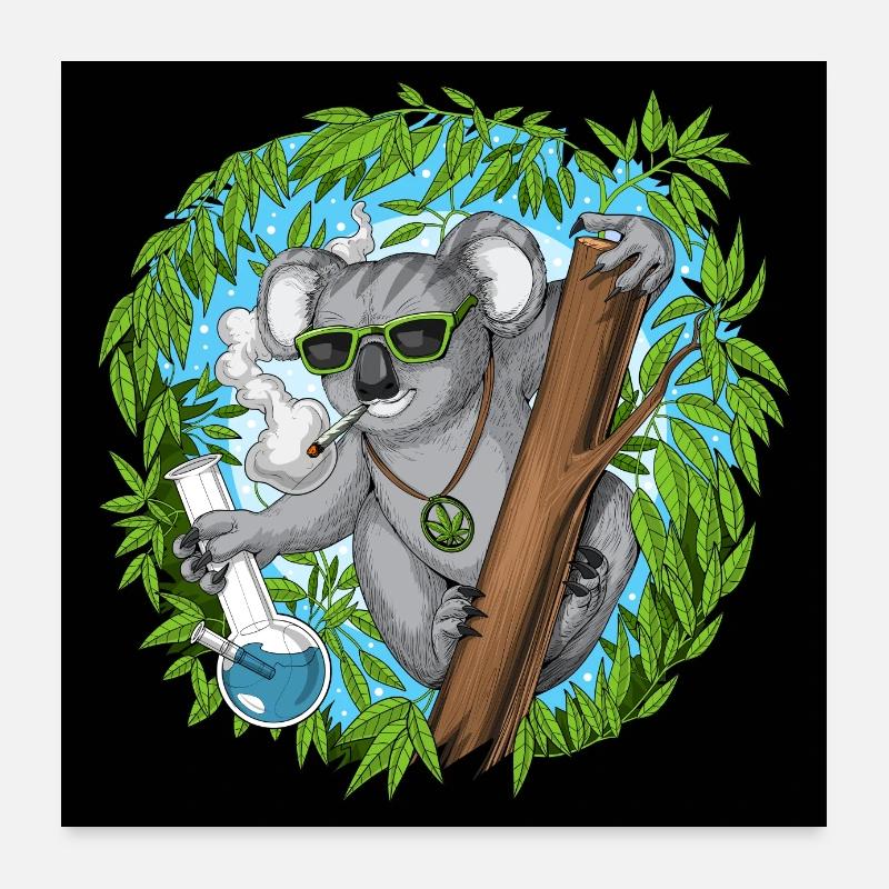 Koala Bär Hippie raucht Gras Poster 60x60 cm