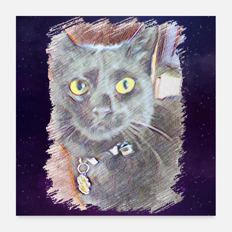 black cat, our darling, Minya 02 - Univers Poster 24" x 24" (60x60 cm)