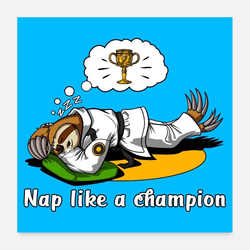 Lazy Sloth Karate Poster 24" x 24" (60x60 cm)