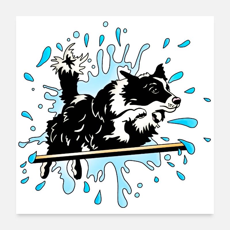 border collie agility splash Poster 24" x 24" (60x60 cm)
