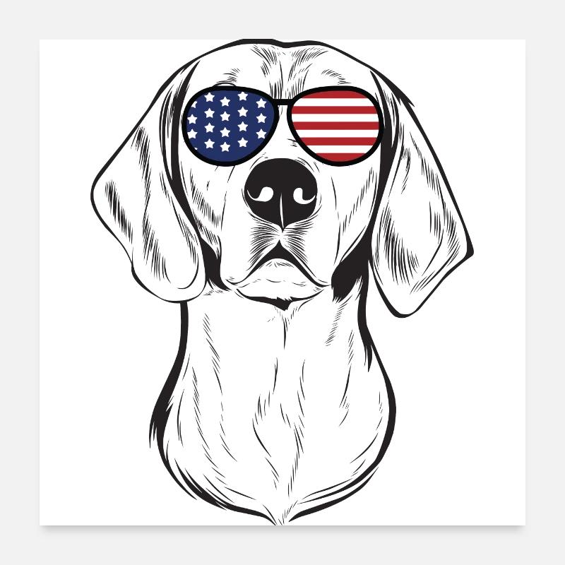 American Foxhound Poster 24" x 24" (60x60 cm)
