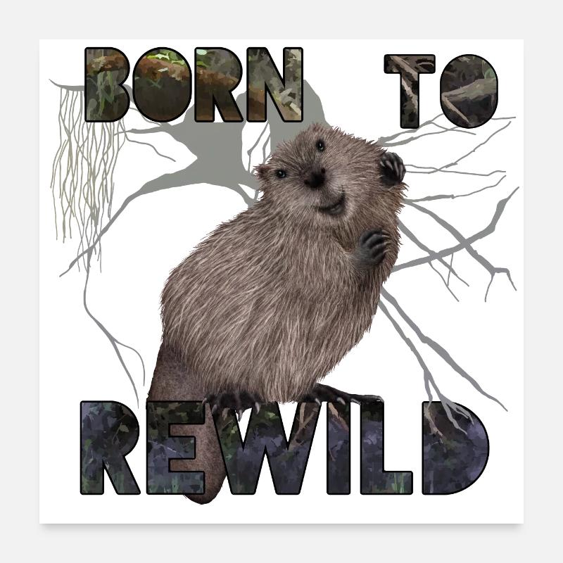Geboren von ReWild beaver Poster 60x60 cm