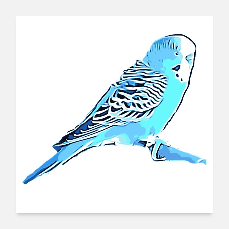Budgerigar Poster 24" x 24" (60x60 cm)