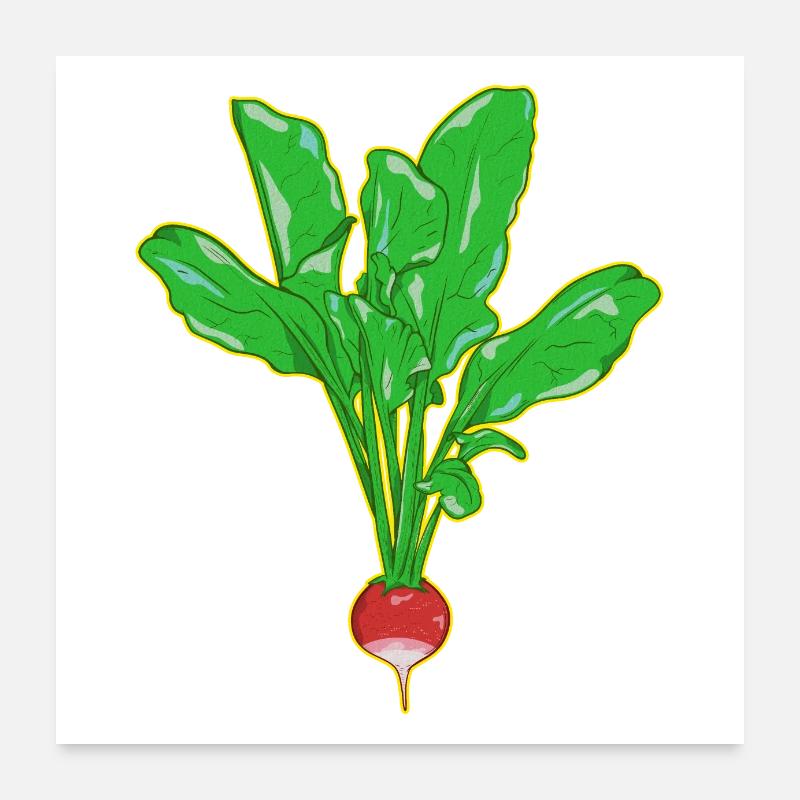 RADISH Poster 24" x 24" (60x60 cm)