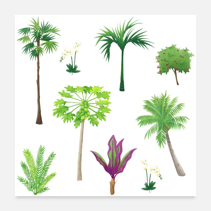 Modèles de plantes asiatiques - Poster 60 x 60 cm - blanc