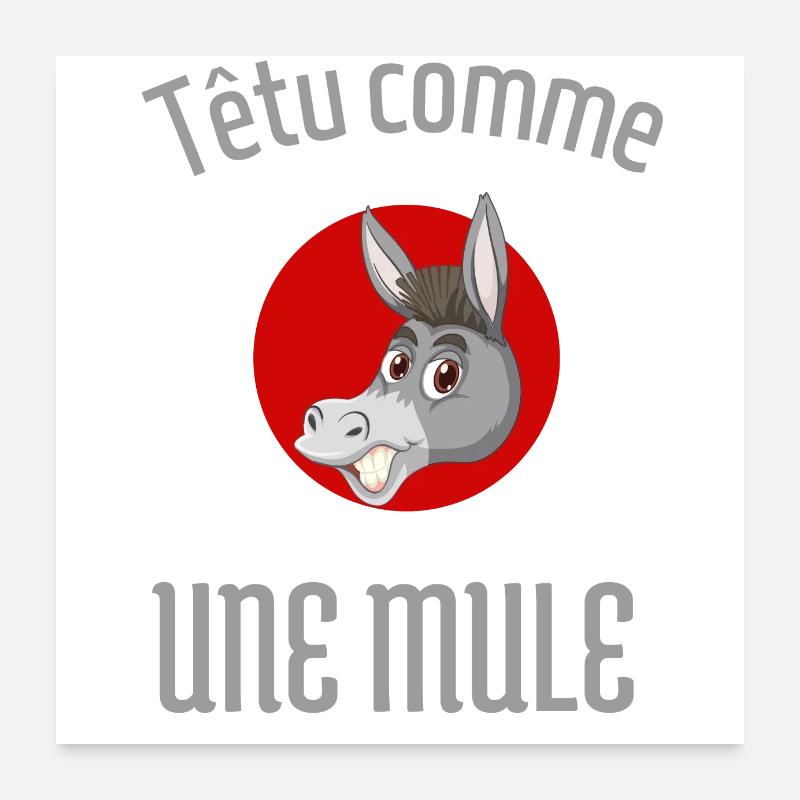 Stur wie ein Maultier - Poster 60x60 cm - Weiß