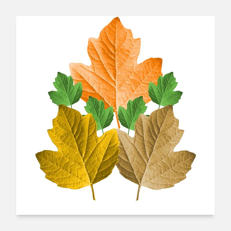 bunte Blätter von einem Baum im Herbst Blatt Laub Poster 60x60 cm