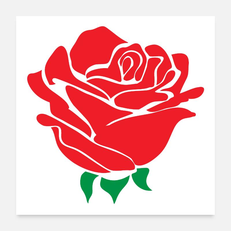 Rose flower Poster 24" x 24" (60x60 cm)