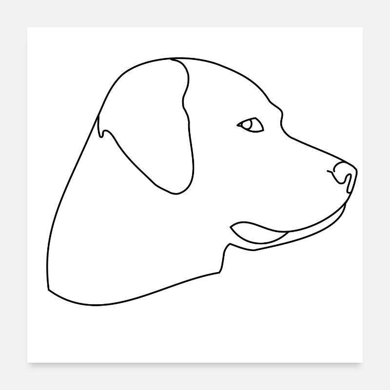 Hund - Poster 60x60 cm - Weiß