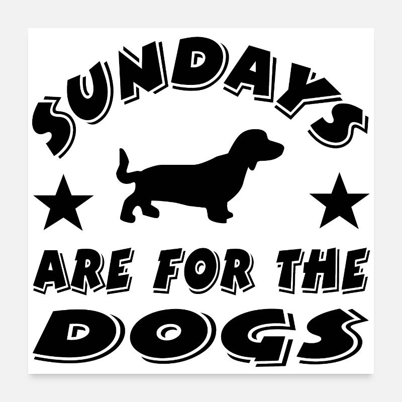 Dachshund Poster 24" x 24" (60x60 cm)