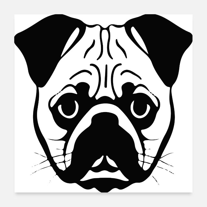 Chiot carlin Poster 60 x 60 cm