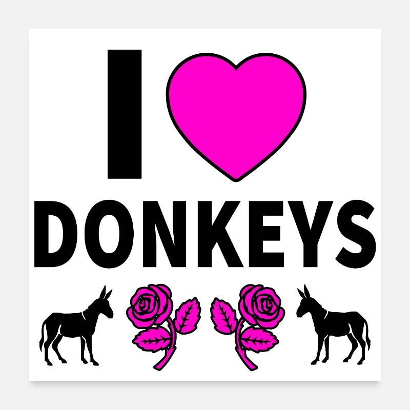 Esel Poster 60x60 cm