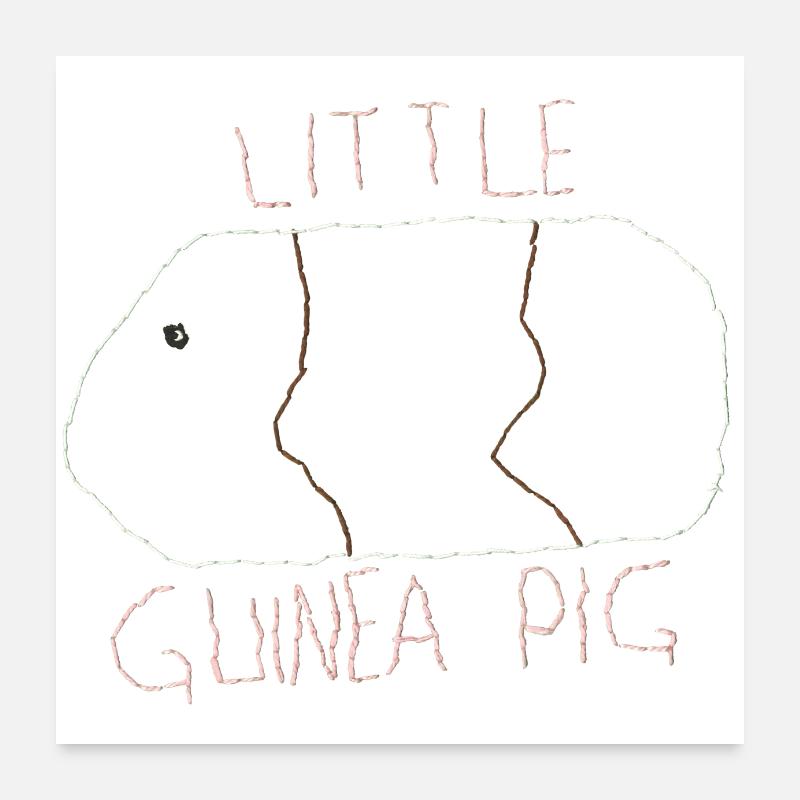 Cochons d’Inde en look bâton Poster 60 x 60 cm