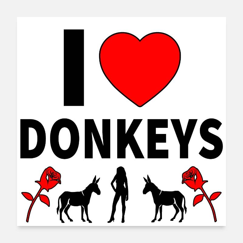 Âne Poster 60 x 60 cm